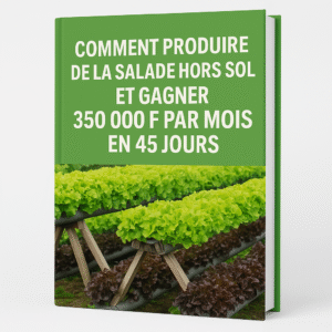 Comment produire de la salade hors sol et gagner 350 000 F par mois en 45 jours en Afrique